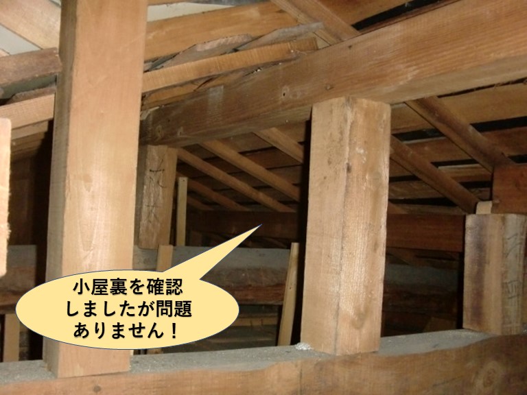 高石市の小屋裏を確認しましたが問題ありません