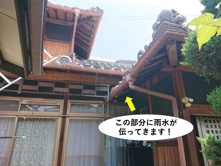貝塚市の軒裏に雨水が伝います