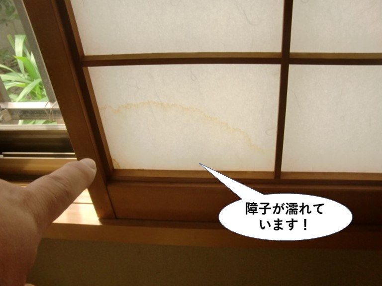 岸和田市の障子が濡れてます