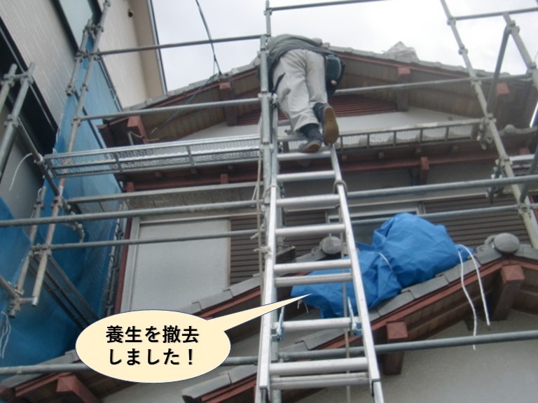 和泉市の養生を撤去