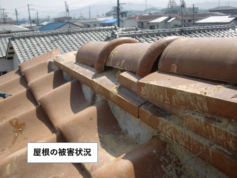 和泉市の棟の被害状況