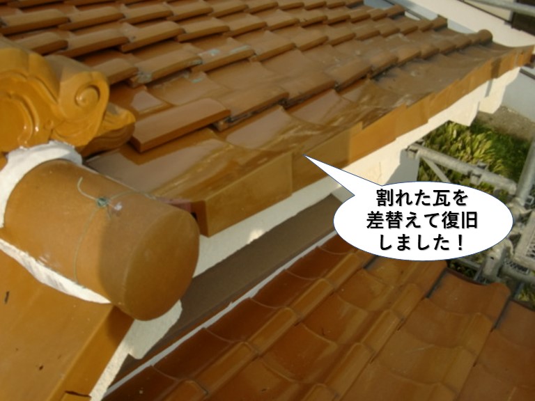 泉南市の割れた瓦を差替えて復旧