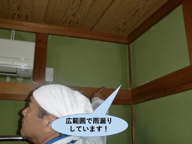 岸和田市の和室の広範囲で雨漏りしています！