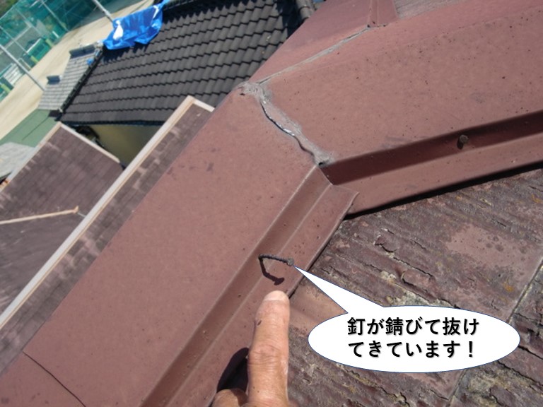 泉大津市の棟板金の釘が緩んで抜けてきています