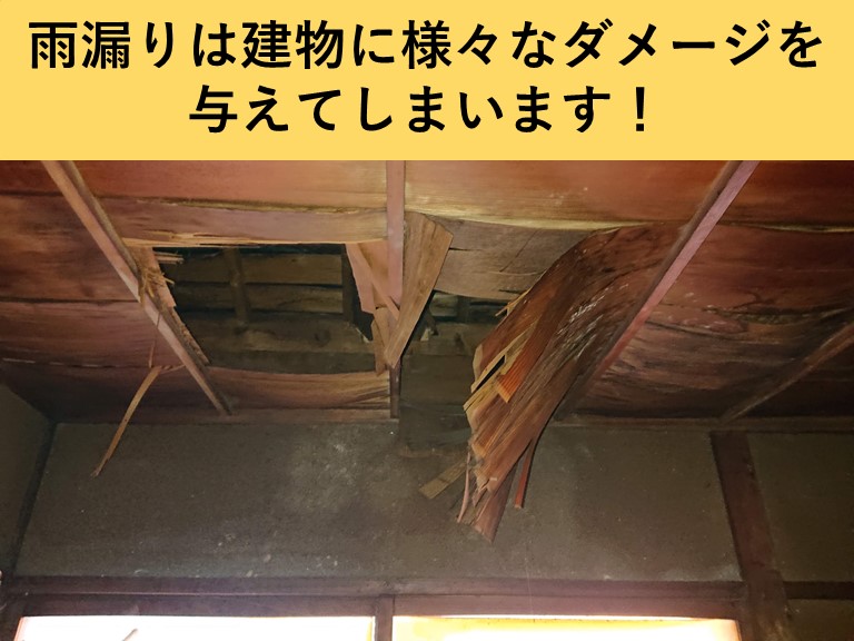 岸和田市・雨漏り