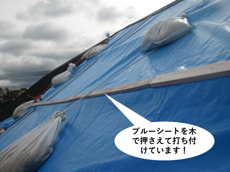 熊取町の屋根をブルーシートを木で押さえて打ち付けています