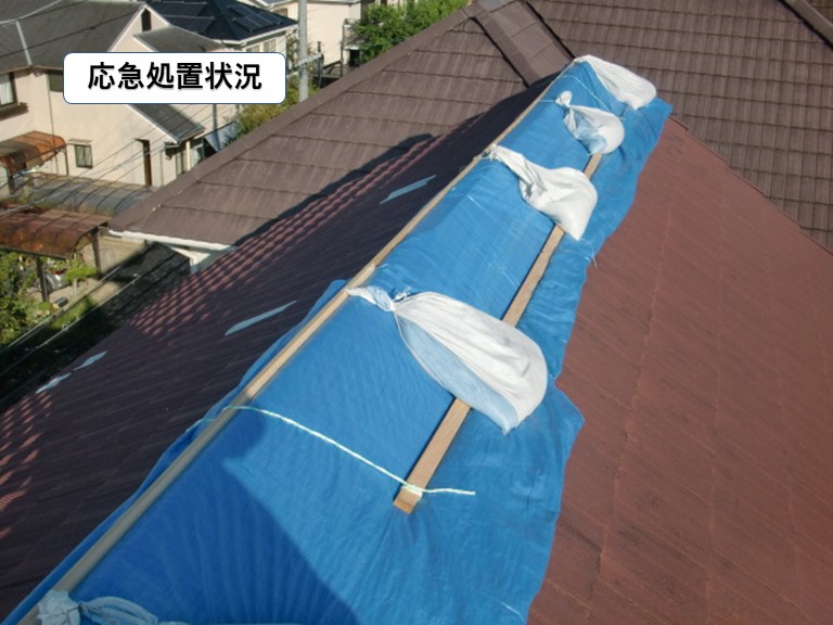 貝塚市の屋根の応急処置状況