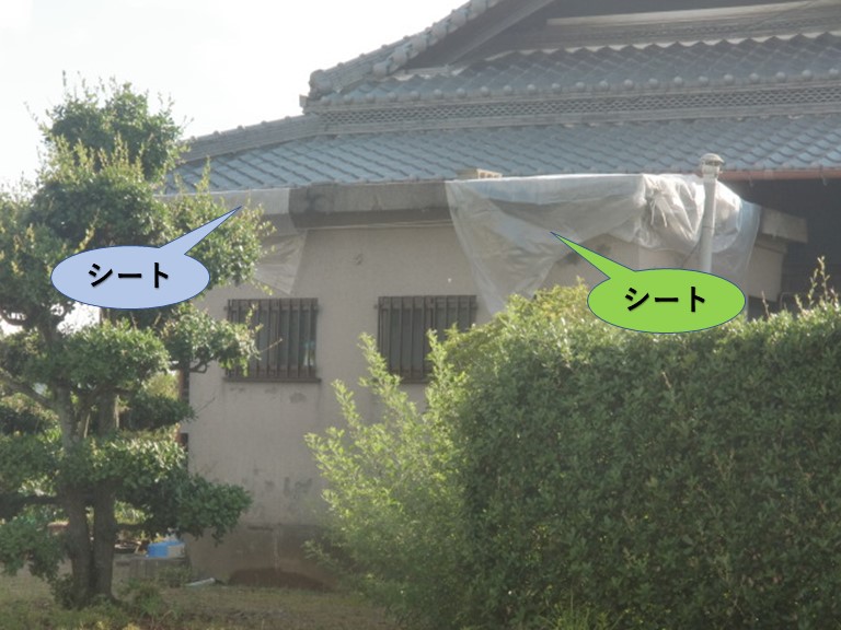 岸和田市包近町の陸屋根応急処置