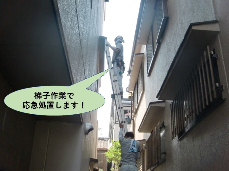 堺市の梯子作業で応急処置