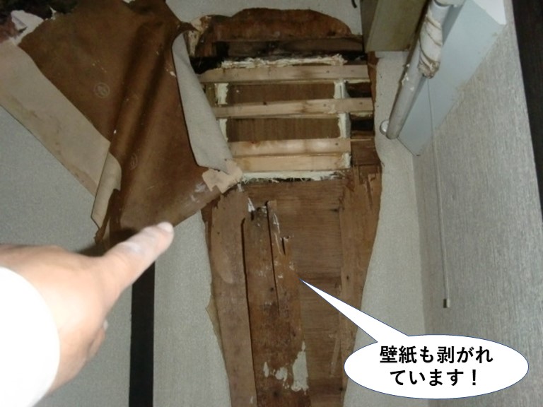 阪南市の壁紙も剥がれています