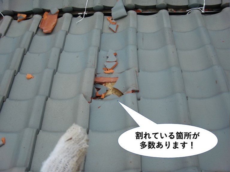 和泉市の屋根瓦が割れた箇所が多数あります