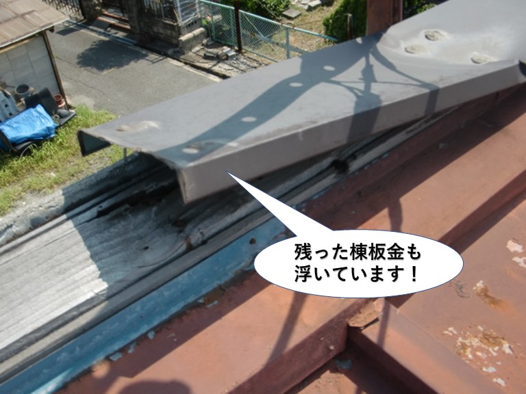 岸和田市の残った棟板金も浮いています