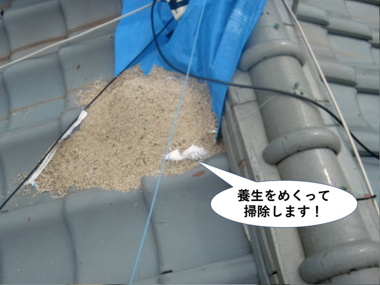 和泉市の養生をめくって掃除します