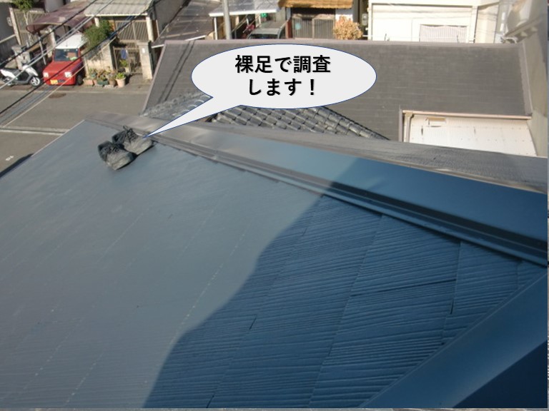 泉大津市の屋根を裸足で調査します
