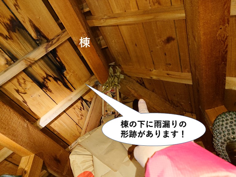 岸和田市の棟の下に雨染みがあります
