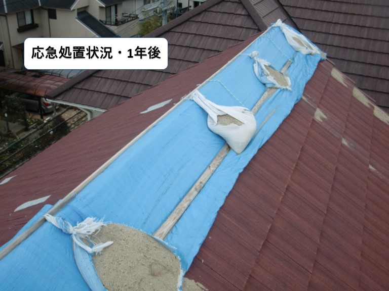 貝塚市の屋根の応急処置状況1年後