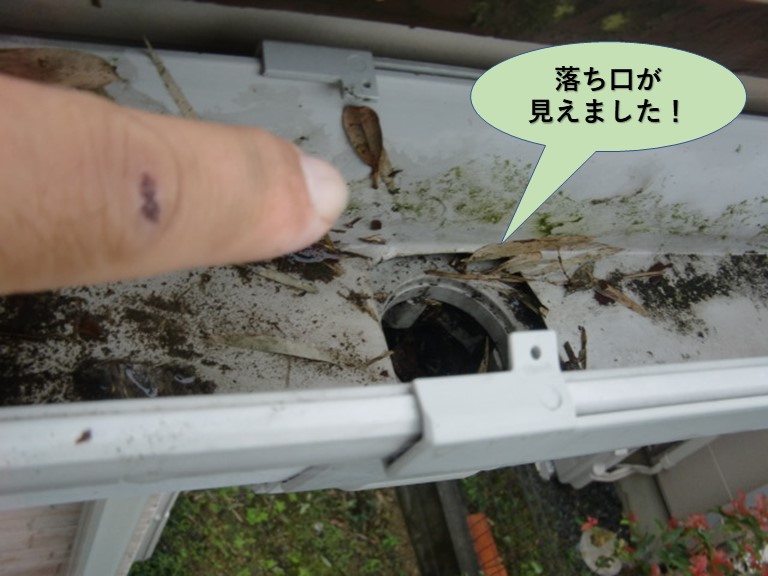 岸和田市の樋の落ち口が見えました