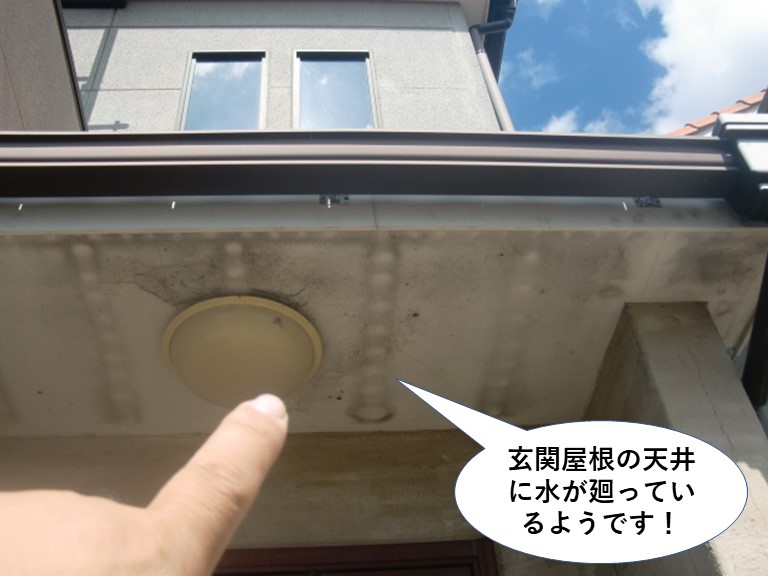 貝塚市の玄関屋根の天井に雨水が廻っています