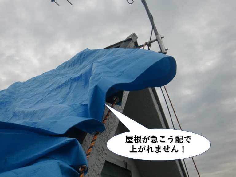 貝塚市の屋根が急こう配で上がれません