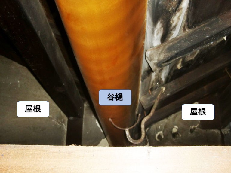 岸和田市の小屋裏状況