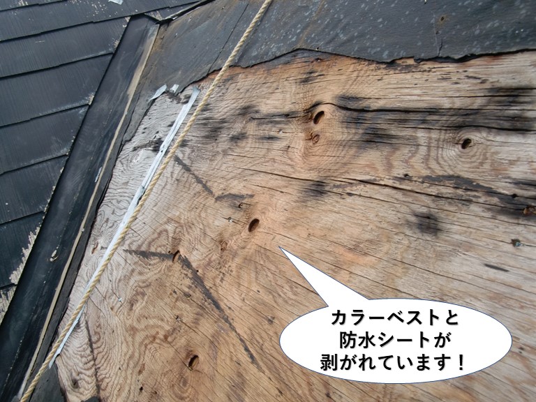 貝塚市のカラーベストと防水シートが剥がれています