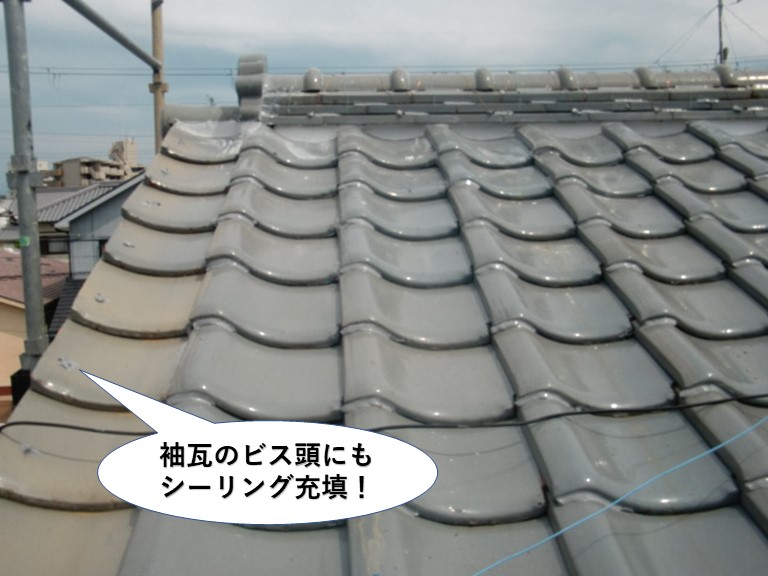 和泉市の袖瓦のビス頭にもシーリング充填