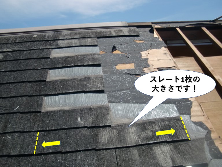 熊取町のスレート1枚の大きさです