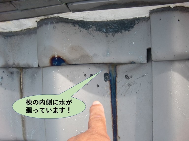 和泉市の棟の内側に水が廻っています