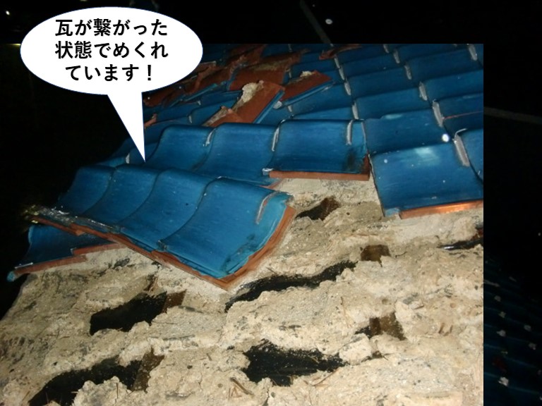 岸和田市の瓦が繋がった状態でめくれています