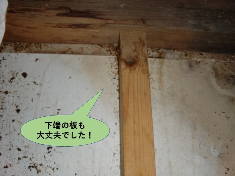 貝塚市のベランダの下端の板も大丈夫でした