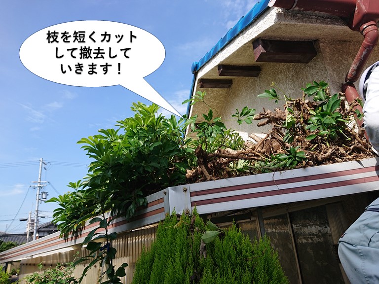 岸和田市の木の枝を短くカットして撤去