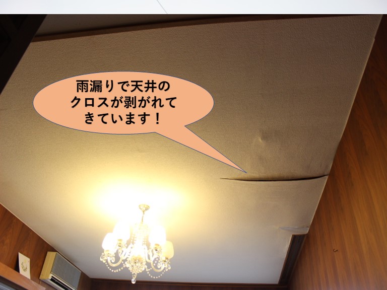 岸和田市の一階のお部屋の雨漏りで天井のクロスが剥がれてきています！