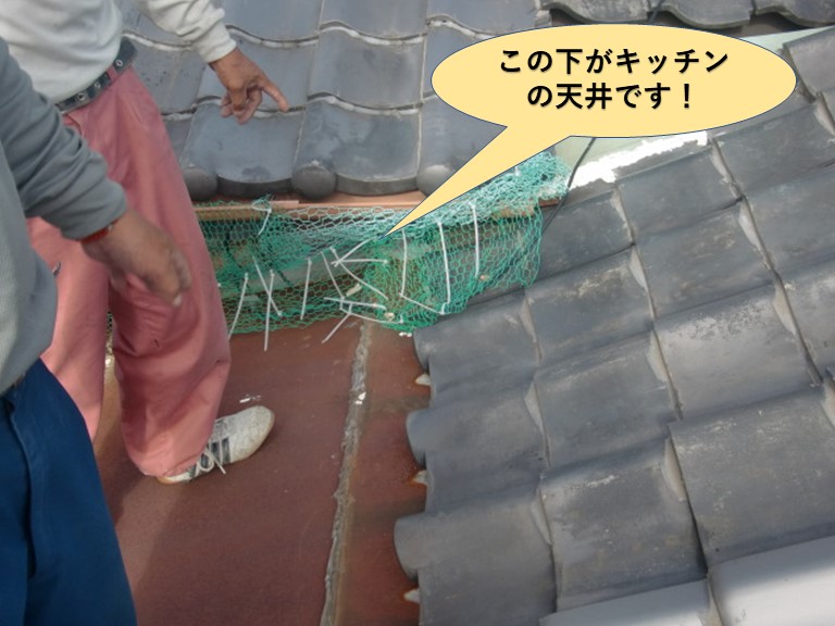 岸和田市のキッチンの取り合いの天井