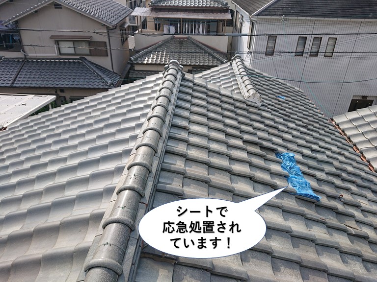 泉佐野市の屋根をシートで応急処置
