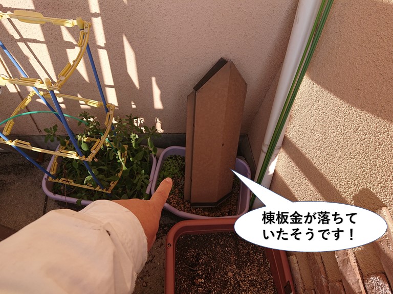 忠岡町の棟板金が落ちていたそうです