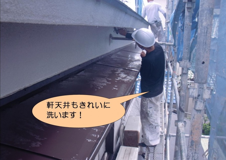 泉北郡忠岡町で軒天井水洗い