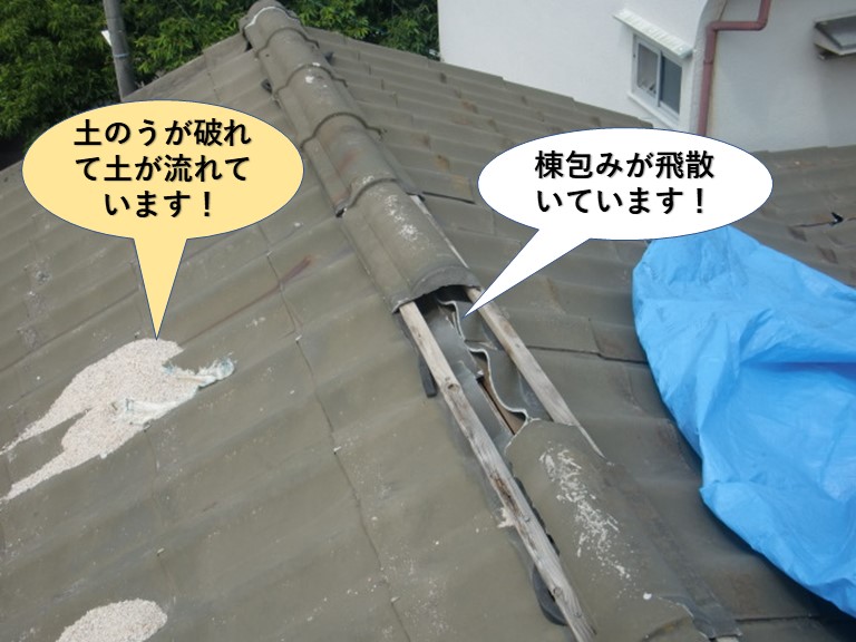 泉佐野市の養生がめくれています