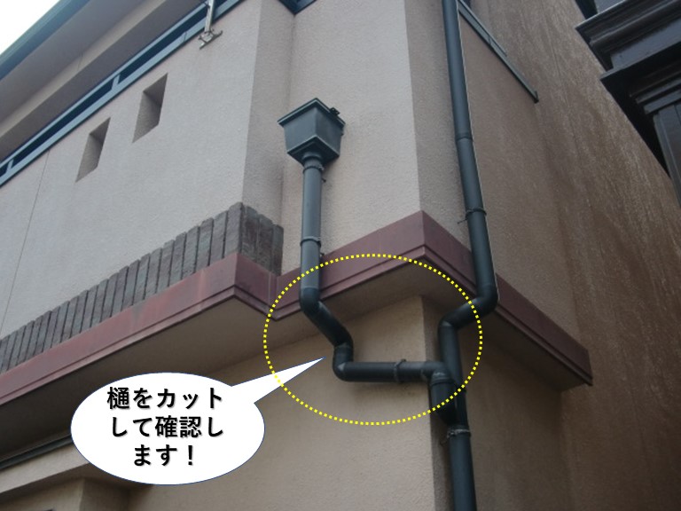 和泉市の樋をカットして確認します