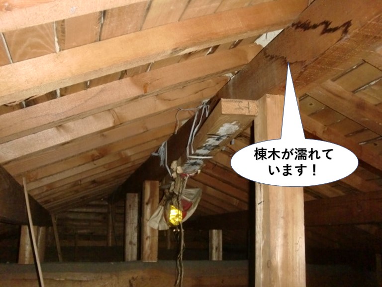 貝塚市の棟木が濡れています