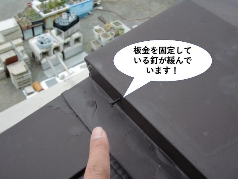 貝塚市の板金を固定している釘が緩んでいます