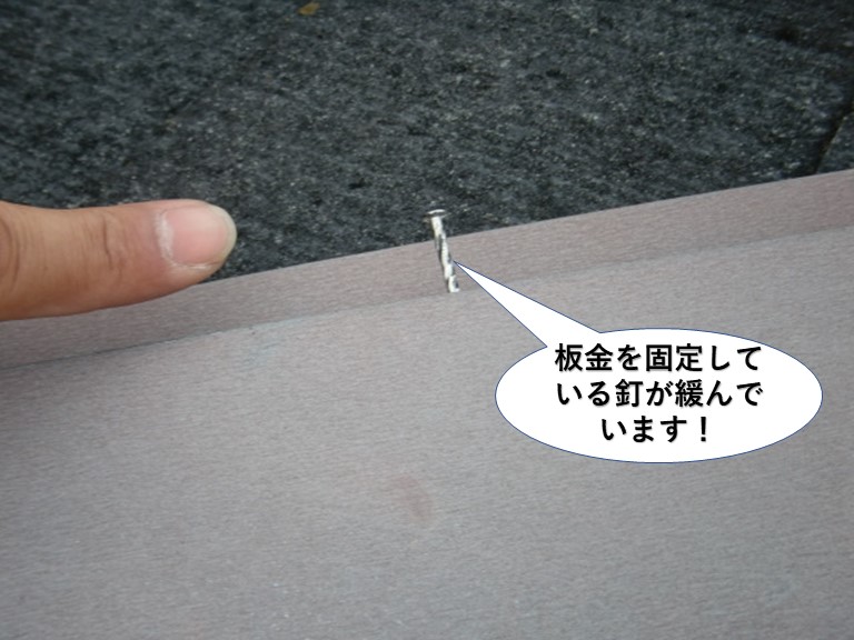 泉南市の板金を固定している釘が緩んでいます