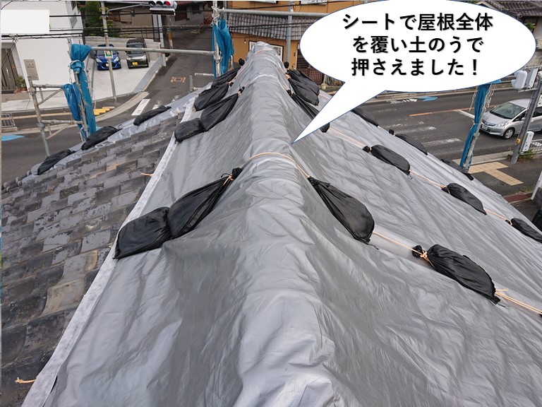 熊取町でシートで屋根養生しました