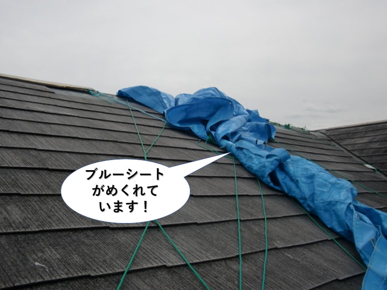 泉大津市のブルーシートがめくれています