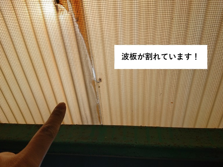 熊取町の波板が割れています！