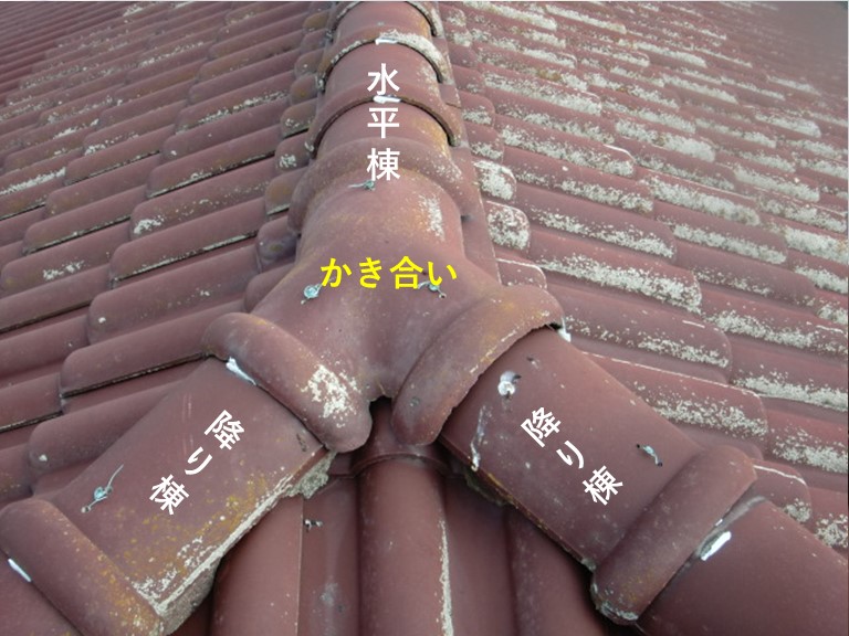 熊取町の棟のかき合い