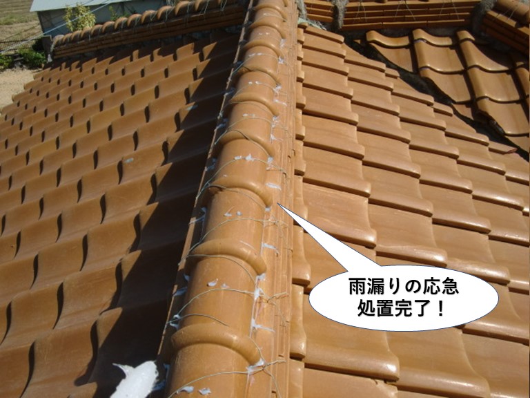 熊取町の雨漏りの応急処置完了