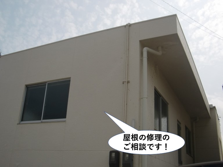 泉佐野市の屋根の修理のご相談