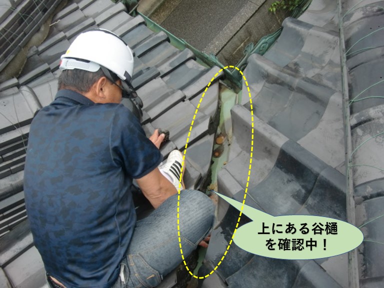 岸和田市の雨漏り箇所の上にある谷樋を確認中！