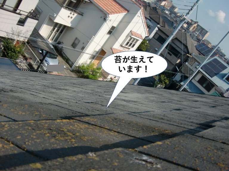 忠岡町の屋根に苔が生えています