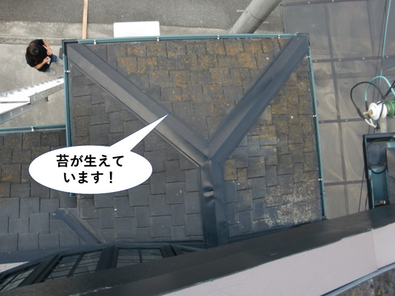 忠岡町の屋根に苔が生えています